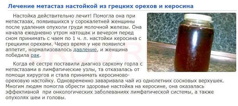 ✅ как избавиться от лягушек и жаб в саду - чеховпарк.рф