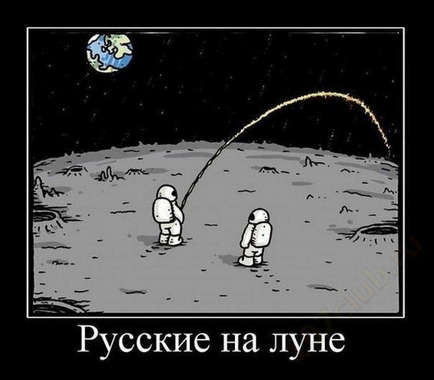 Приколы космического енота в 2023 году