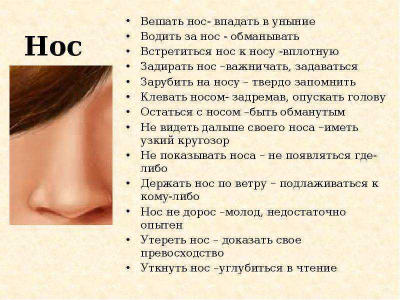 Сонник разбили нос. к чему снится разбили нос видеть во сне
