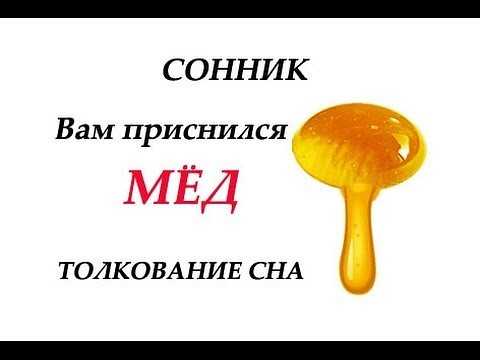 Сонник мёд: к чему снится и что означает сон?