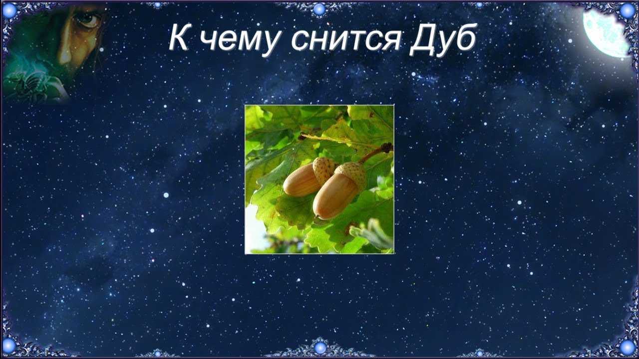 К чему снится распустившиеся деревья. видеть во сне цветущие деревья