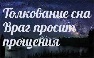 Сонник к чему снится просить прощения | сонник
