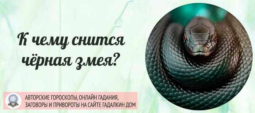 Приснилась змея с отрубленной головой во сне. к чему снится змея без головы
