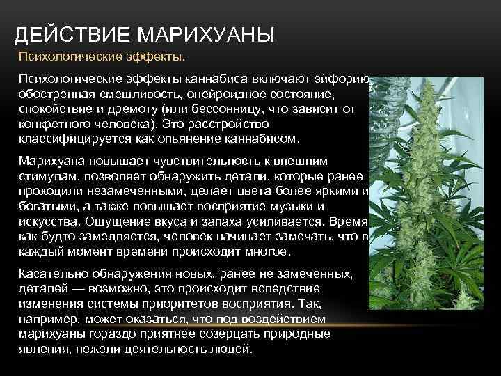Как марихуана влияет на ваш сон? | sleepline