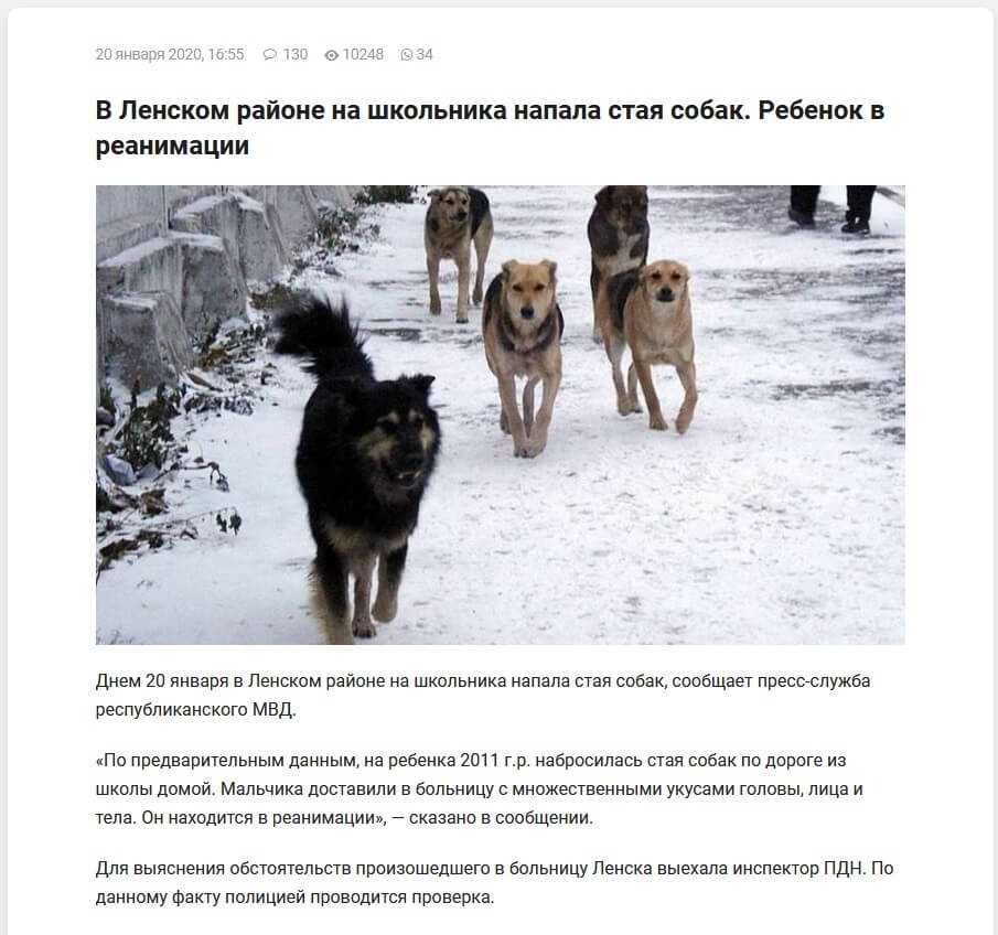 К чему снятся стая злых собак во сне