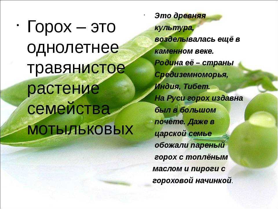 К чему снится горох: значение и толкование сна - tolksnov.ru