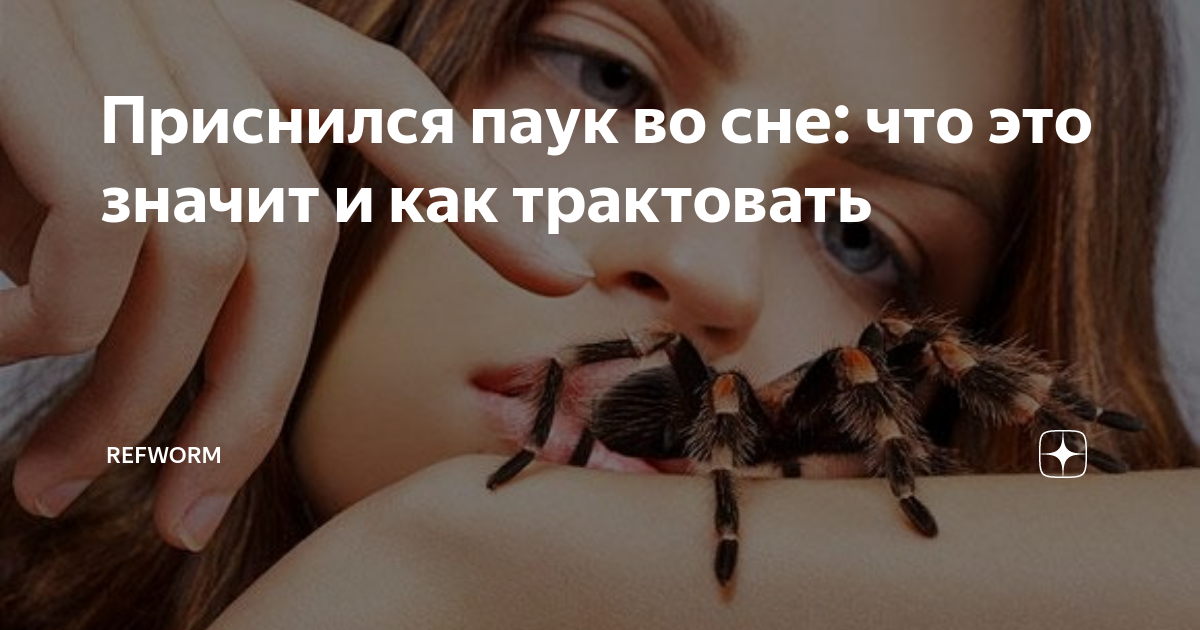 К чему снится паук?