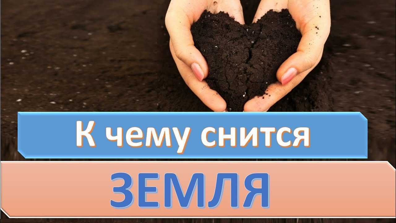 К чему снится земля (черная, рыхлая, вспаханная, на огороде) – сонник