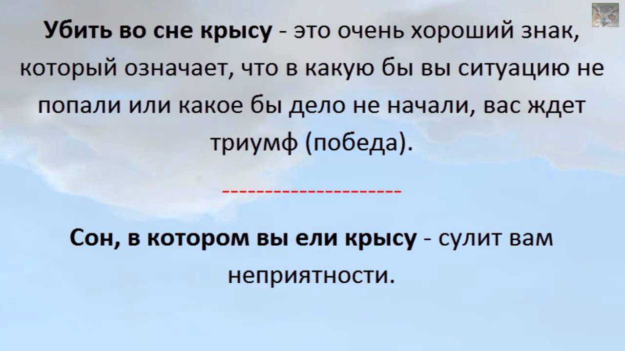 К чему снятся мыши и крысы, видеть мышей и крыс во сне - по всем сонникам
