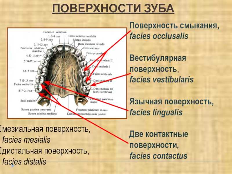 Аспекты планет в натальной карте человека
