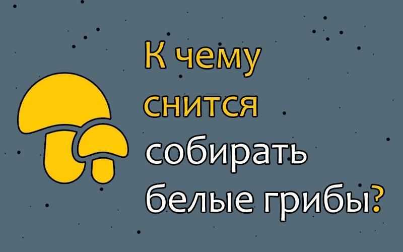 К чему снится много грибов 🍄 - топ 30 толкований ✨ по сонникам: что означает видеть и собирать во сне разные грибочки в лесу на грибной поляне или на дереве