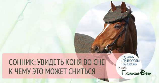 К чему снятся лошади: толкования по разным сонникам, женщине и мужчине, коричневые и других мастей