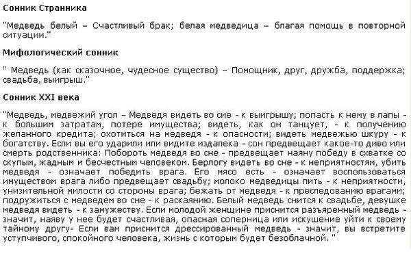К чему снятся медведи: большая белая, бурая медведица и медвежонок во сне женщины или мужчины, толкование по соннику
