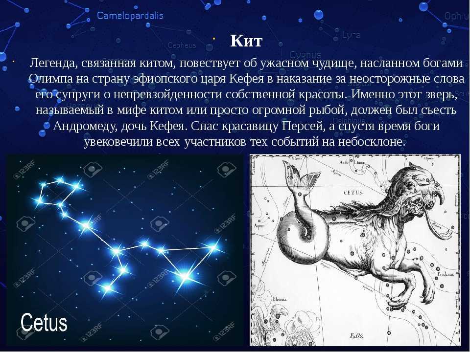 Овен зодиакальное созвездие