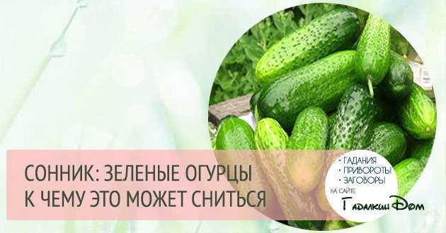 К чему снятся овощи: толкование сонников