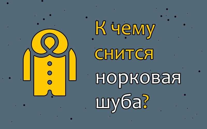 Шуба из норки во сне: как толкуется такое сновидение согласно соннику, к чему снится норковая шубка на себе?