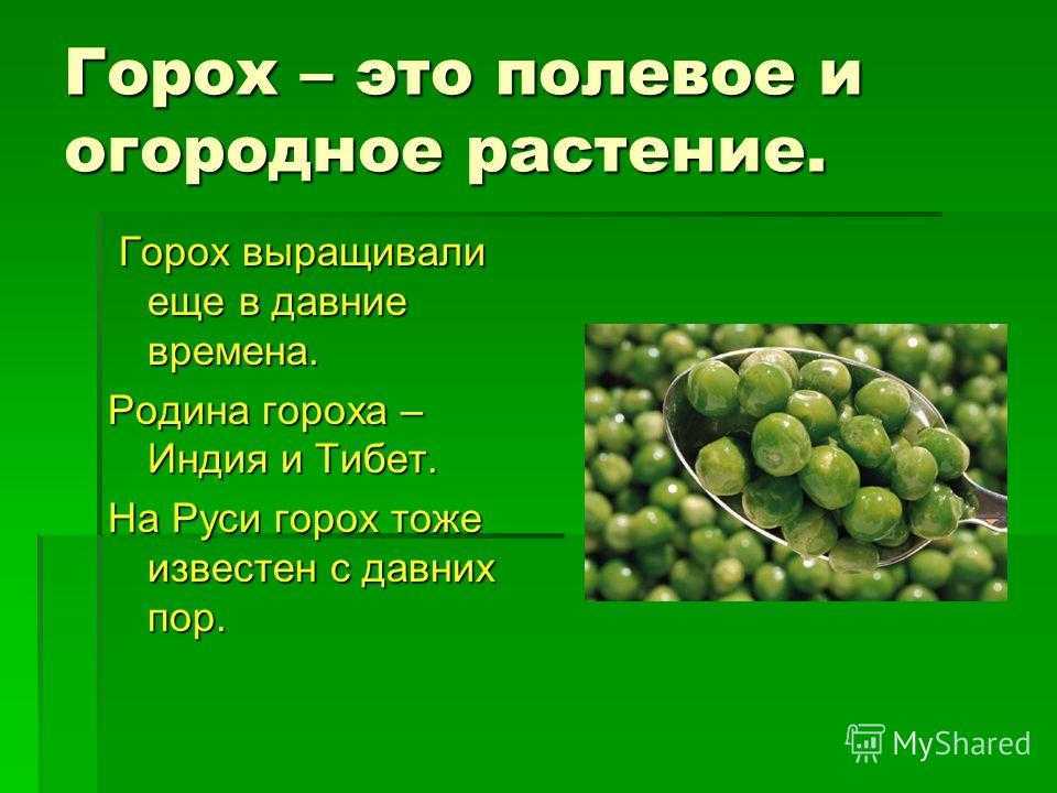 К чему снится горох зеленый -
 сонник