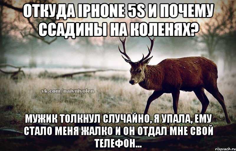Сонник: олень