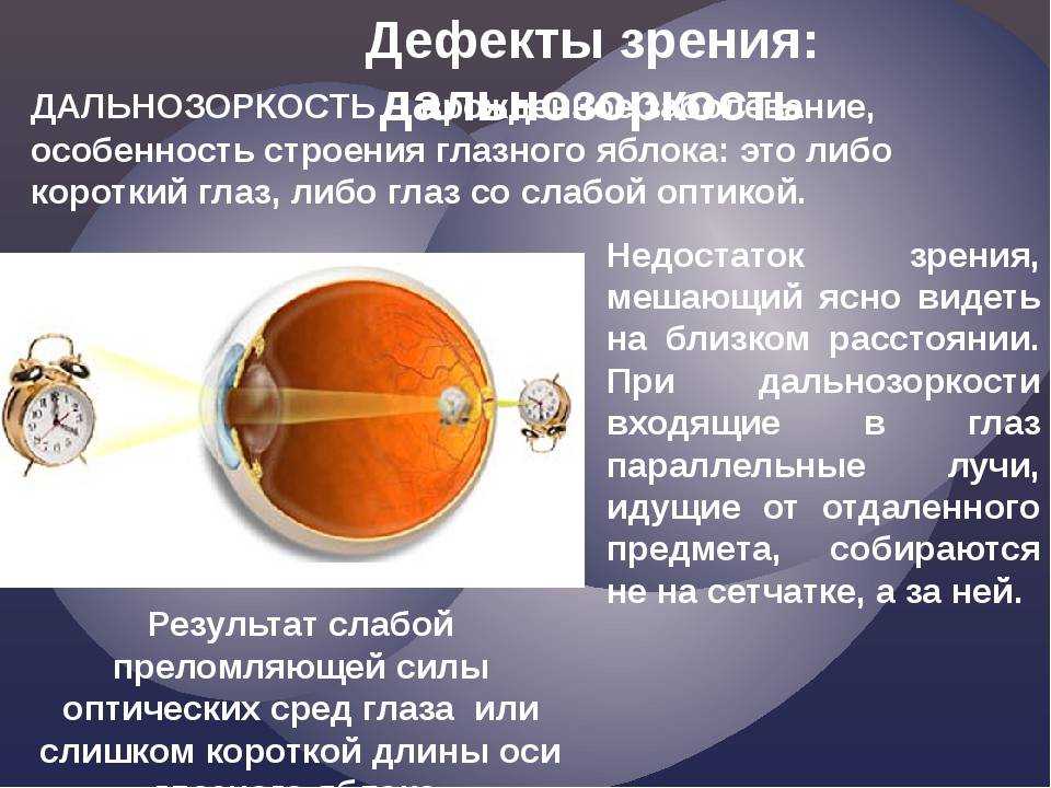 Система зрения: части глаза