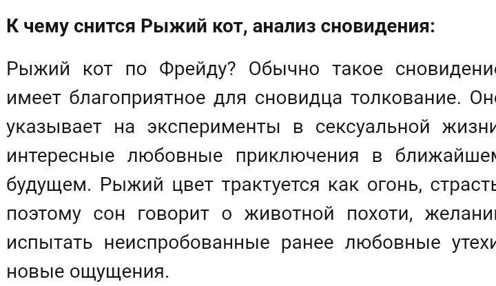 Кошка поймала мышь по соннику - толкование сна