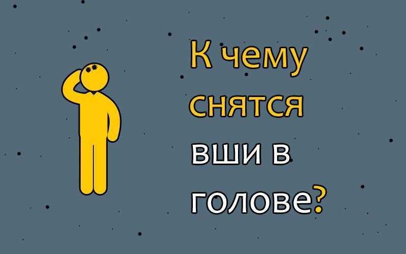 Сонник - вши, к чему снятся вши во сне приснились