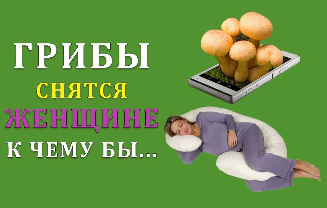 Во сне собирать грибы - толкование в зависимости от подробностей