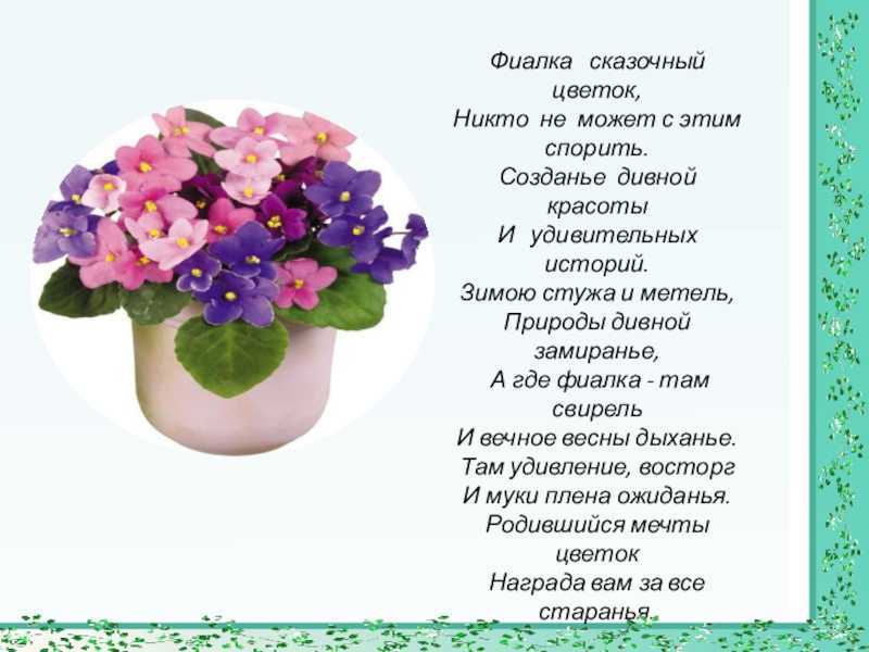 Как интерпретировать сон о цветке в горшке — 44 значения