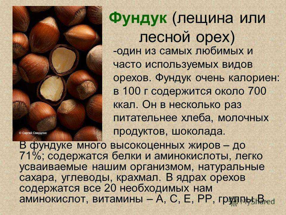 К чему снятся грецкие орехи: значение сна, в котором приснилось собирать, очищать от скорлупы или кушать плоды