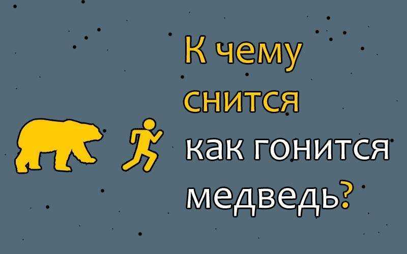 К чему снится медведица с медвежатами - толкование