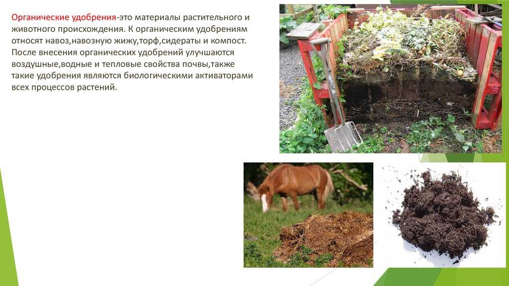 К чему снится навоз — толкование по сонникам
