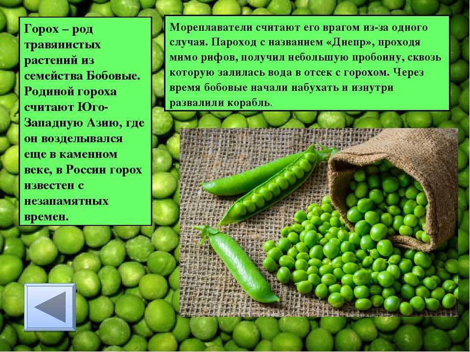 Сонник: горох