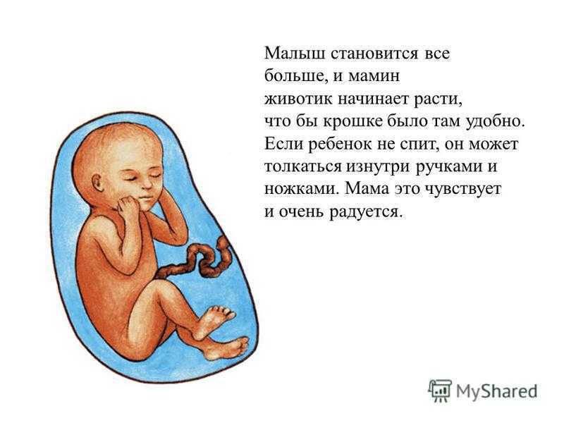 К чему снится моя беременность и шевеление ребенка 👶 в животе: 42 трактовки ❗ для замужних женщин, мужчин и незамужних девушек, что означает видеть себя беременной и чувствовать толчки в утробе