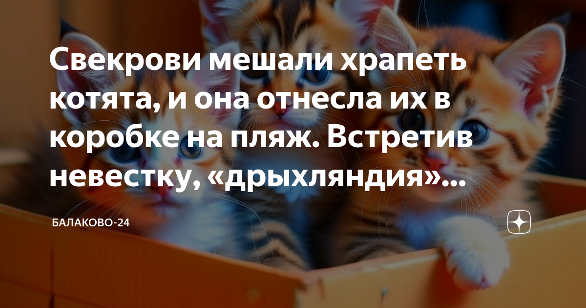 Раненый кот