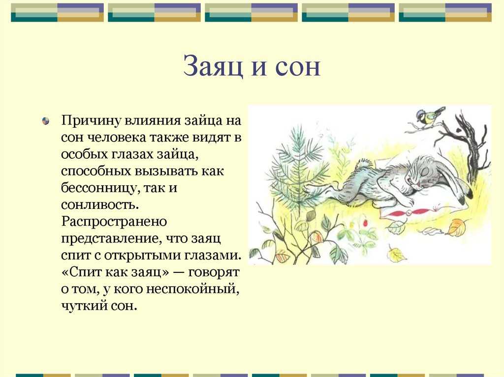 К чему снится заяц. видеть во сне заяц - сонник дома солнца
