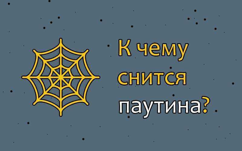 Сонник: убирать паутину - к чему снится? - tolksnov.ru
