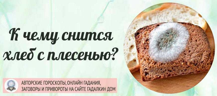 К чему снится хлеб белый свежий покупать на сайте сонник гуру