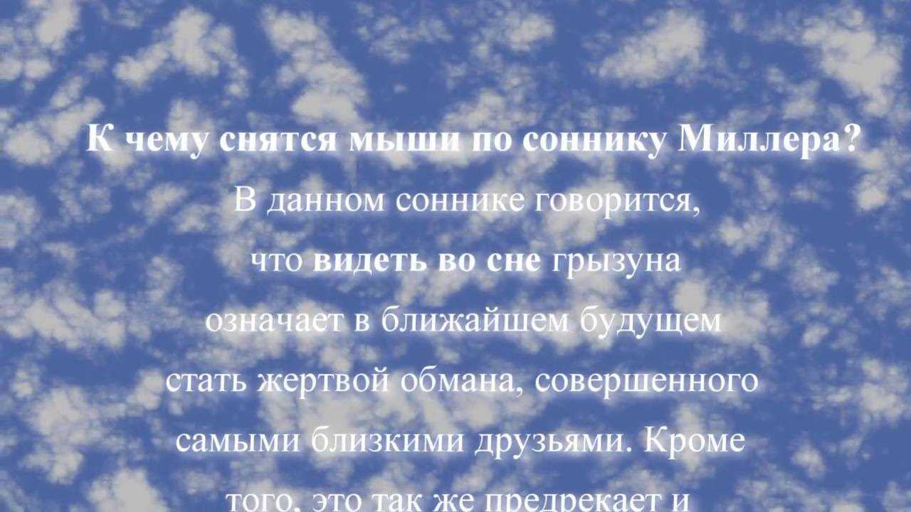 Видеть во сне много крыс, к чему, толкование сна в сонниках
