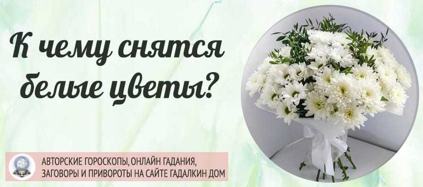 Подарили цветы во сне, к чему, трактовка сна в разных сонниках