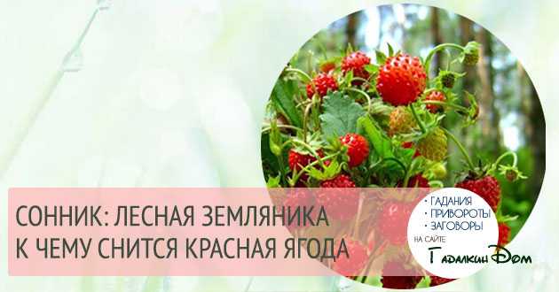 К чему снится земляника - значение сна земляника по соннику