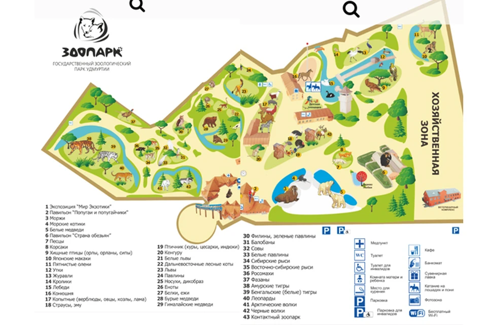 Зоопарк доехать на автобусе. Схема зоопарка Ижевск. План Ижевского зоопарка. Карта зоопарка Ижевск. Ижевский зоопарк схема территории.