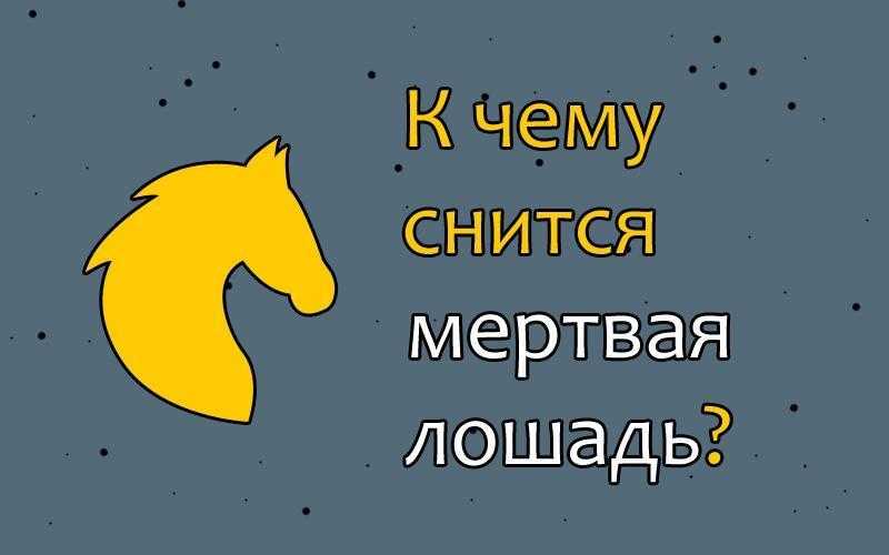 К чему снится лошадь женщине: коричневая (по соннику)    :: клео.ру
