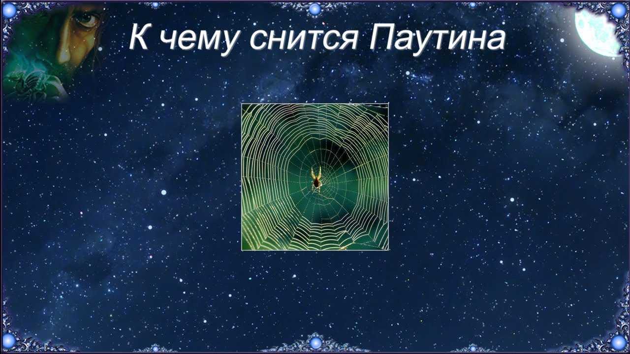 К чему снится паутина во сне для женщины и мужчины: с пауками, на потолке, в доме (толкование, сонник)    :: клео.ру