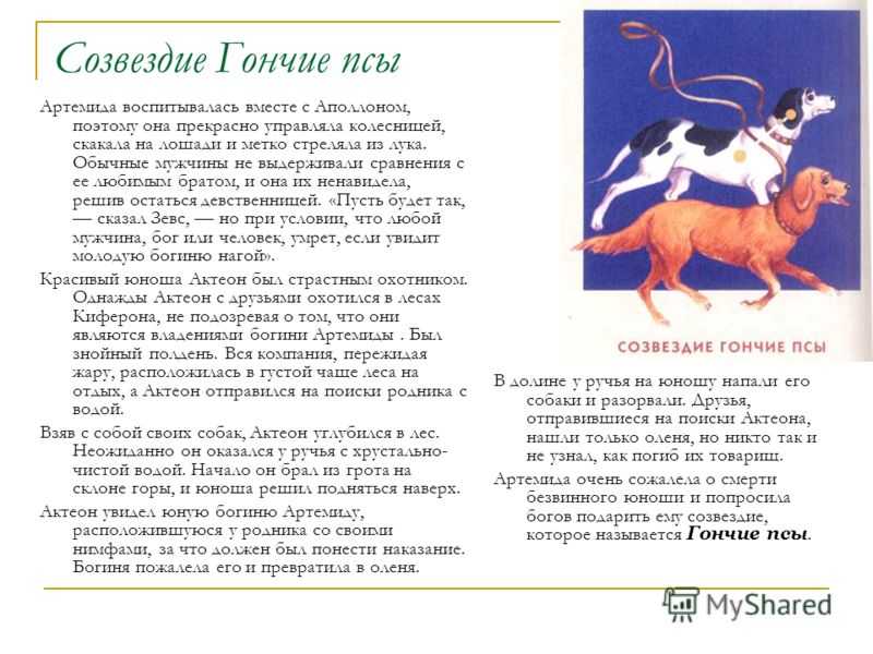 Неподвижные звезды в астрологии: о чем говорят