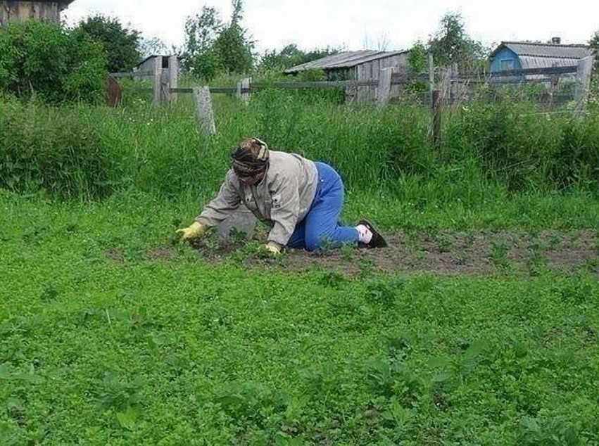 «огород к чему снится во сне? если видишь во сне огород, что значит?»