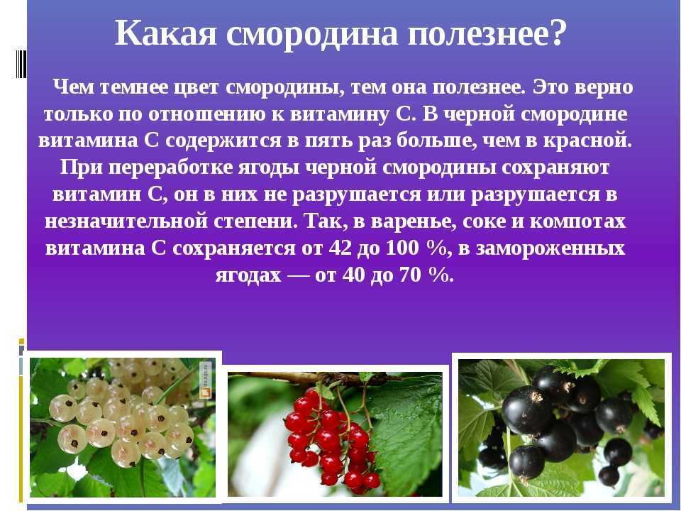 К чему снится собирать ягоды: девушке, женщине, беременной, мужчине – толкование по разным сонникам