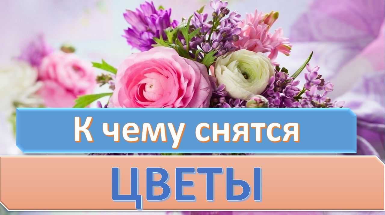 К чему снятся белые цветы: значение и толкование сновидения, что предвещает - tolksnov.ru