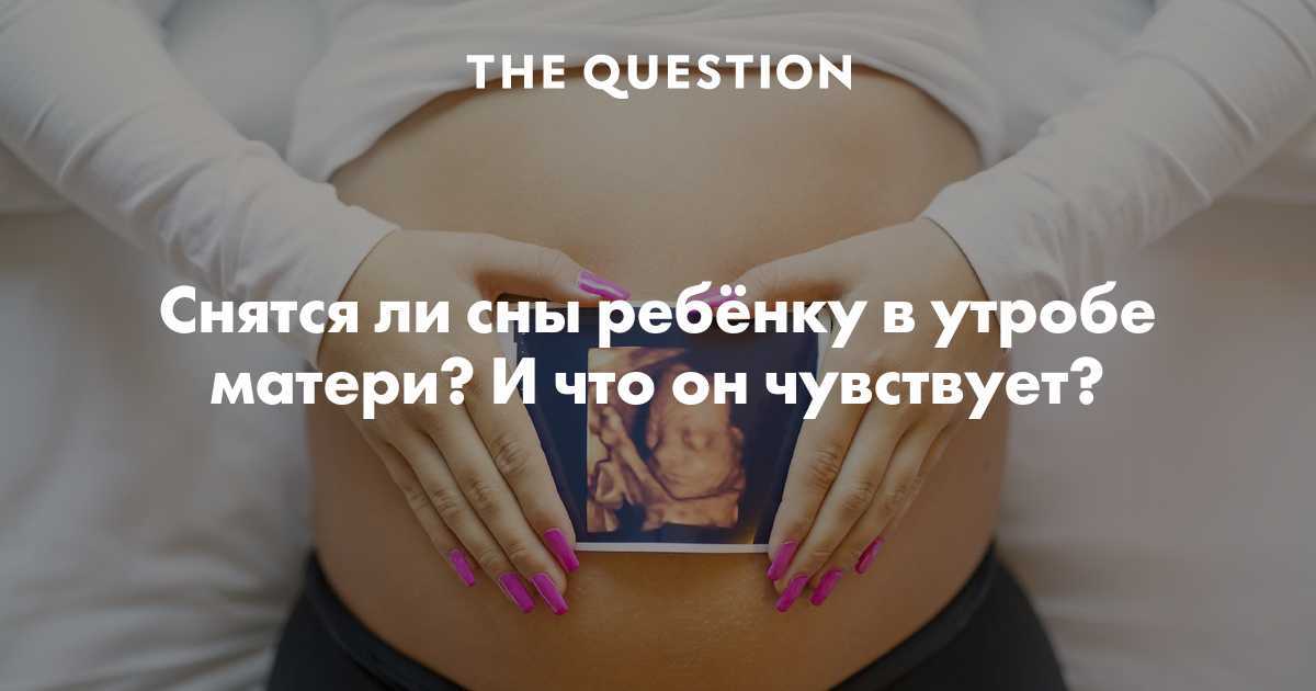 К чему снится  беременность во сне — по 90 сонникам! если видишь во сне беременность что значит?