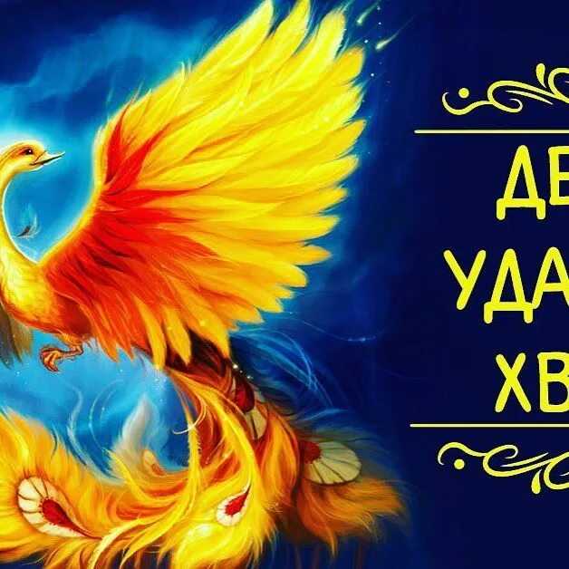 Парс фортуны: поймай удачу за хвост