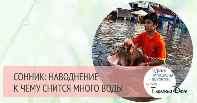 К чему снится вода? сонник - вода во сне.