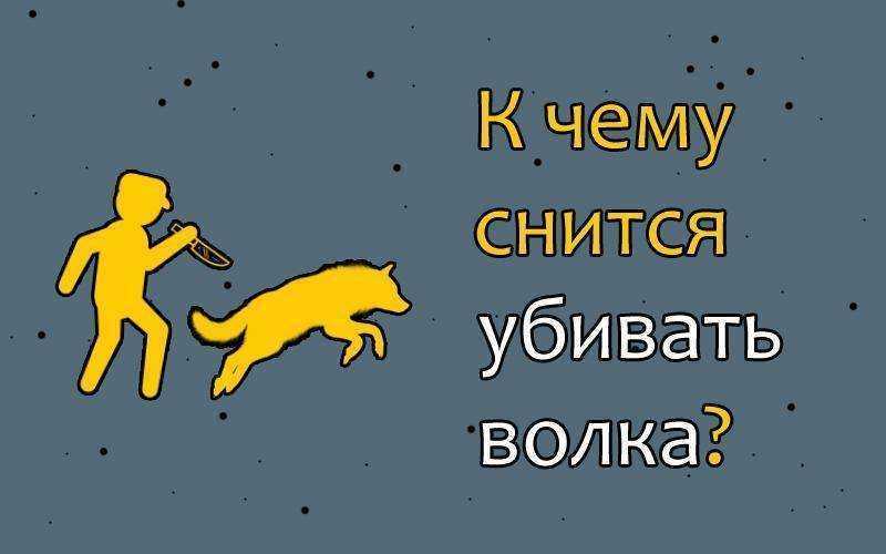 Волки нападают во сне: трактовка сновидения